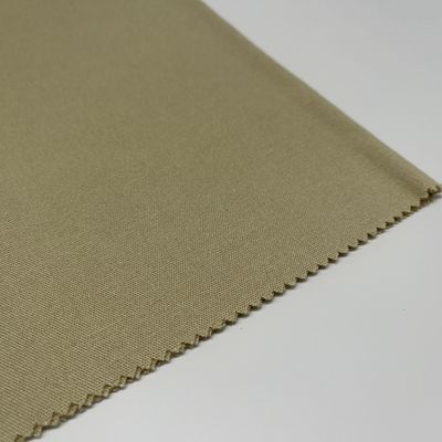 High Abrasion Resistance  Linen Viscose Fabric Blend Tapestry For Clothing